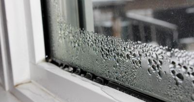 Why condensation is forming on your windows and how to stop it