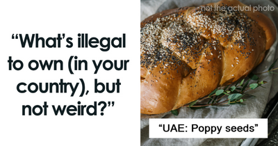 People Shared 40 Absolutely Normal Things They Can’t Own Because It’s Illegal Where They Live