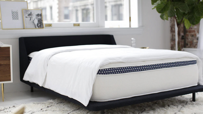 What is the Winkbed Plus and should you buy it?