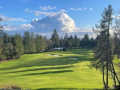 Golfer dies on Oregon course after tree crushes him: ‘Wrong spot at the wrong time’