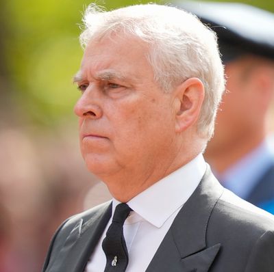 Could This New Royal Job Be “The Perfect Way” for Prince Andrew to Return to His Family’s Good Graces?