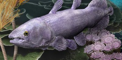 We discovered a new fossil species of prehistoric fish