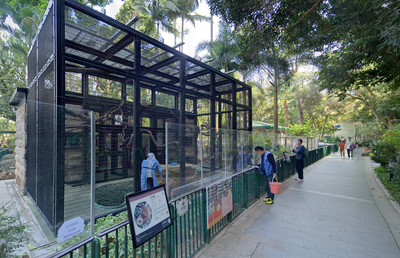 Twelfth monkey dies in Hong Kong zoo amid mystery bacterial outbreak