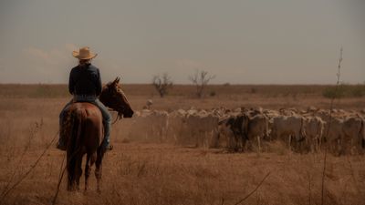 Netflix has its answer to Yellowstone and you can stream it right now