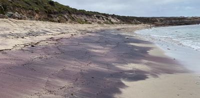 How we solved the mystery of the pink sand on South Australia’s beaches – podcast