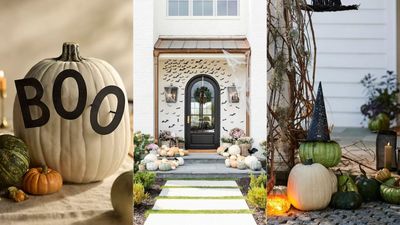 No one is carving their pumpkins this year – here are the most elegantly eerie no-carve pumpkin ideas I'm doing instead