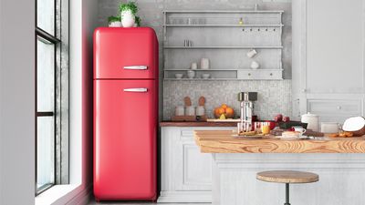 What temperature should a refrigerator be? Keep your food in optimal conditions