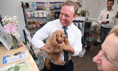 Queensland election: how Steven Miles went from underdog to attack dog in the dying days of the campaign