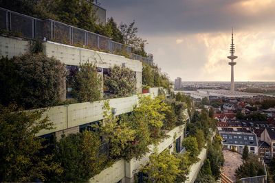 ‘It’s a big lever for change’: the radical contract protecting Hamburg’s green space