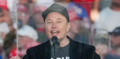 How Elon Musk has become a powerful figure in US politics