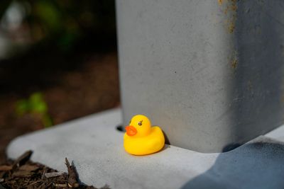 Massachusetts Man Invested in True Crime Drama Accused of Intimidating Witnesses with Rubber Ducks