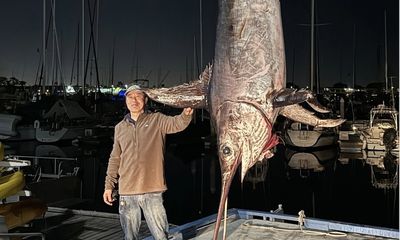 Angler ‘still in shock’ after landing pending-record swordfish