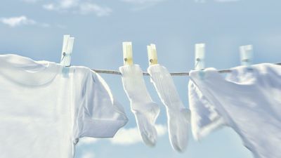 Can you dry laundry outside in winter? We explore the pros and cons