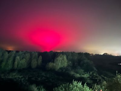 Woman left disappointed after ‘Northern Lights-style aurora’ turns out to be local tomato factory