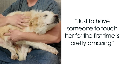 Video About Shelter Pup Getting Cuddles For The First Time Is Melting Hearts All Over The Internet