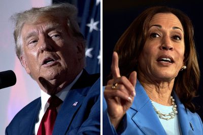 Prominent data scientist gives election odds: Trump leads, but Harris is gaining