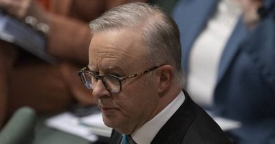 Albanese must not rush social media ban, human rights commissioner says
