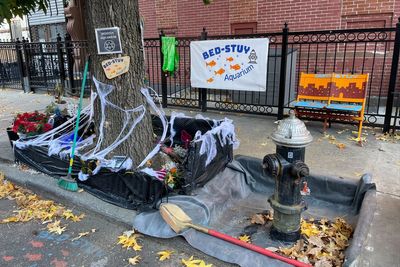 From viral sensation to fish graveyard: Brooklyn’s makeshift goldfish pond destroyed after city shuts it down