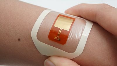 New device 'zaps' bacteria on the skin, potentially preventing infections