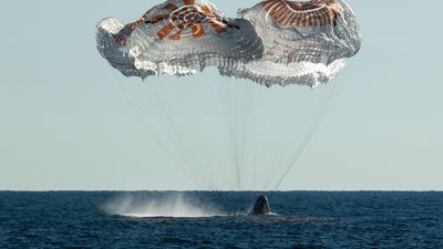 Watch SpaceX Crew-8 astronauts return to Earth early Oct. 25