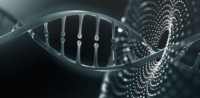 South Africa amended its research guidelines to allow for heritable human genome editing