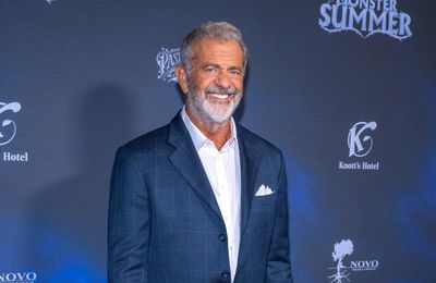 'She's got the IQ of a fence post': Mel Gibson slams Kamala Harris