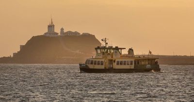 When services will restart on Stockton ferry confirmed after outage