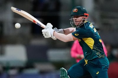 David Warner's lifetime leadership ban lifted by Cricket Australia