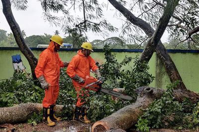 Flood risk as Cyclone Dana hits India, uprooting power lines and trees