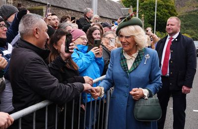 Queen Camilla uses 'old-fashioned' phone