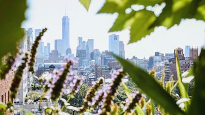 Sanctuaries in the city – NYC garden designer reveals how to transform urban rooftop gardens into green oases