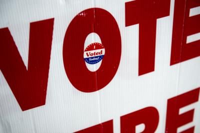 Federal Judge Halts Virginia Voter Roll Purge Program