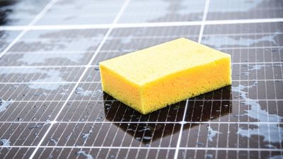 How to clean solar lights – expert advice for cleaning every type of solar light