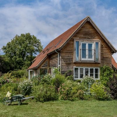 Experts reveal when to cut back shrubs - and the risks involved in choosing the wrong time