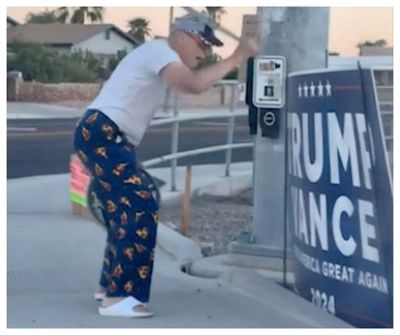 Arizona Man in Pizza Pants Photographed Destroying Trump Signs with Machete: Police