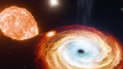 Accidental discovery of 1st-ever 'black hole triple' system challenges what we know about how singularities form