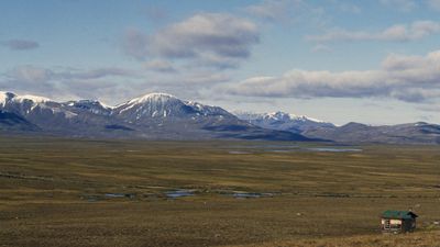 Fool's Gold is driving a new accelerating climate feedback loop in Canada