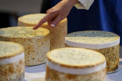 More than 22 tonnes of cheese stolen from London-based manufacturer in alleged scam