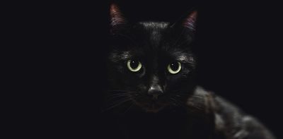 Animals that are all black or all white have reputations based on superstition − biases that have real effects