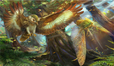 Predatory birds from the Jurassic may have driven cicada evolution for millions of years