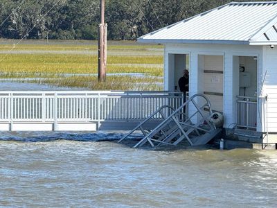 An engineering firm will investigate Georgia's deadly dock collapse