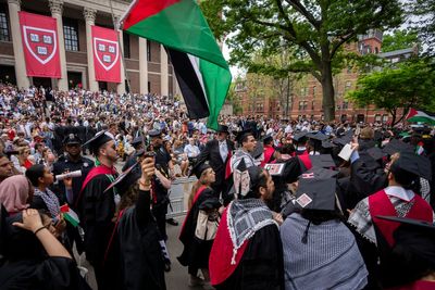 Harvard temporarily suspends library privileges for faculty involved in 'study-in' protests