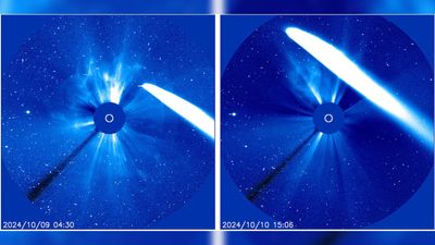 See Comet Tsuchinshan-ATLAS eject a tail of gas and dust as it flies past the sun (photos)