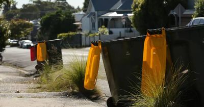 Cessnock residents could see kerbside pick-up by 2025, but at a cost