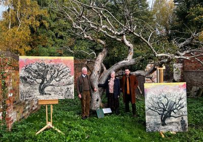 ‘It’s appalling’: original bramley apple tree being neglected, say campaigners