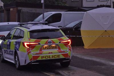 Man in custody after woman and two children stabbed in ‘shocking attack’