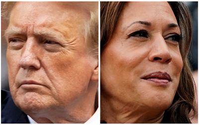 US election: 10 days left – What polls say, what Harris and Trump are up to