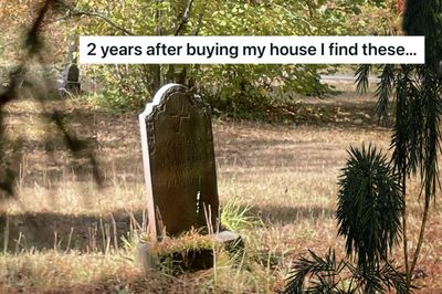 Homeowner Finally Cleans Up Overgrown Front Yard, Uncovers Creepy Cemetery