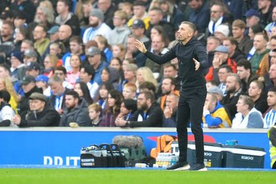 We’ll definitely be fine – Gary O’Neil buoyed by late Wolves rally at Brighton