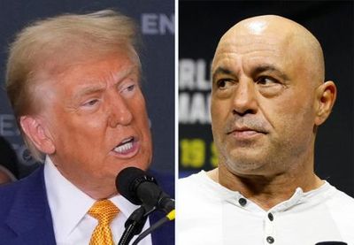 ‘A lot of fun’: will Trump’s rambling Joe Rogan interview rally young men?